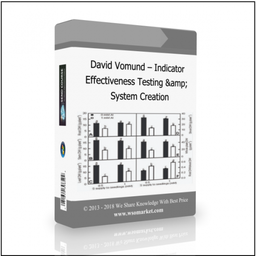 System Creation David Vomund – Indicator Effectiveness Testing & System Creation - Available now !!!