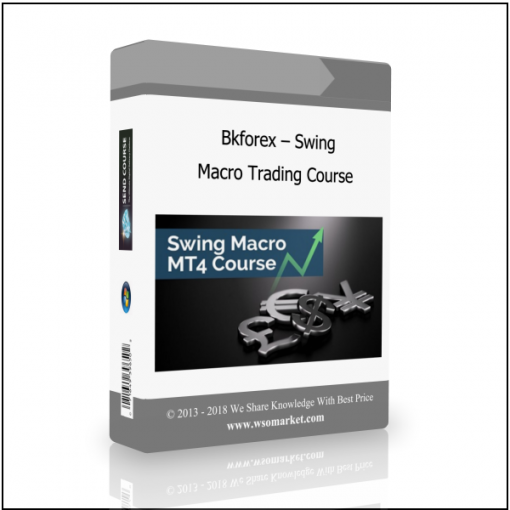 Macro Trading Course Bkforex – Swing Macro Trading Course - Available now !!!